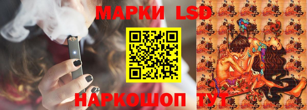 Новозыбков  LSD-25 экстази кислота  LSD-25 экстази  blacksprut рабочий сайт  Вход с VPN  LSD-25 экстази кислота 