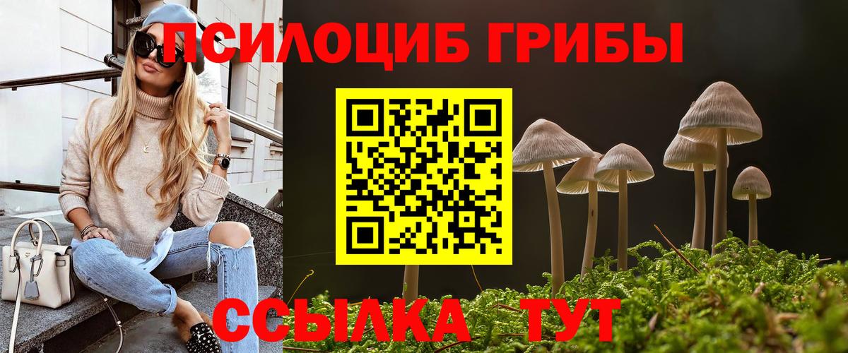 Новозыбков  Галлюциногенные грибы GOLDEN TEACHER  Псилоцибиновые грибы Magic Shrooms  Вход с VPN 